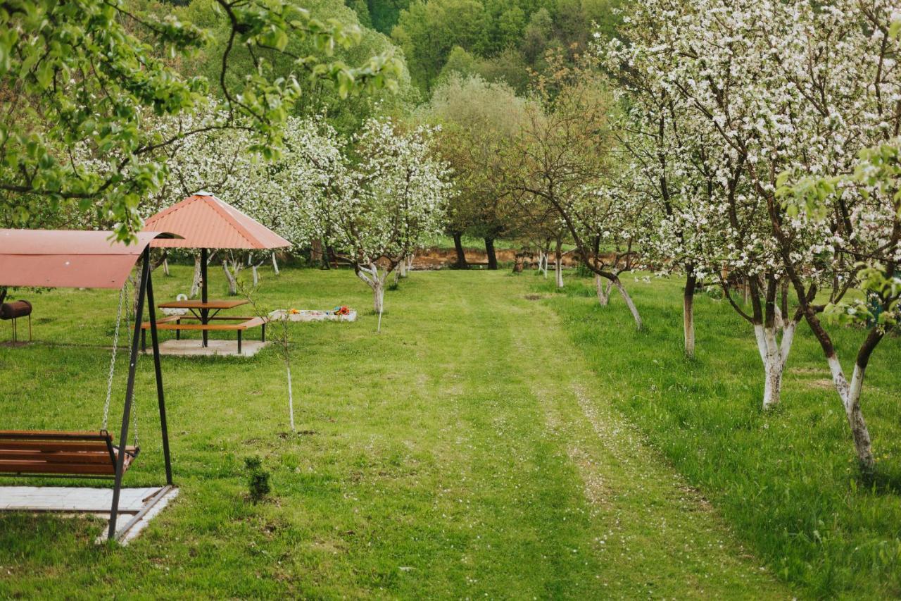 У Оксани Hotell Solochyn Eksteriør bilde