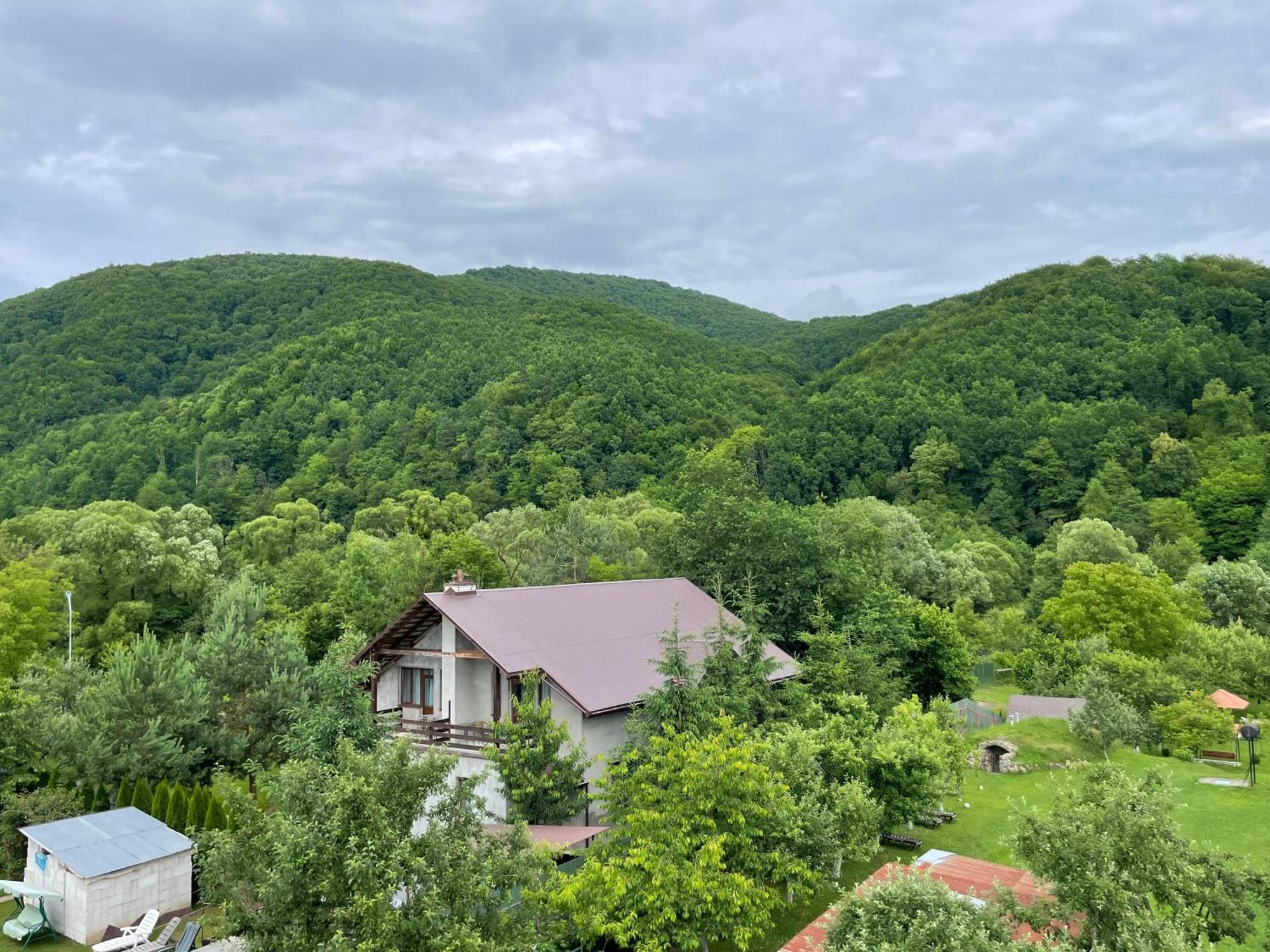 У Оксани Hotell Solochyn Eksteriør bilde